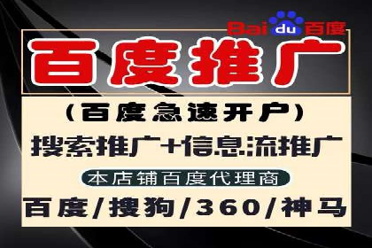 某企业通过SEM实现品牌与销售双增长的案例